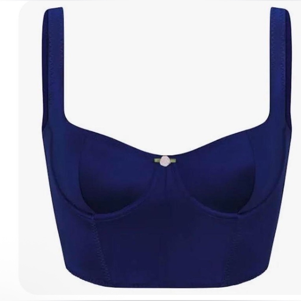 Skims Stretch Satin Corset NWT Small Neptune